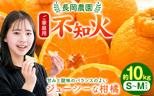 【先行予約】不知火  ( デコポン と同品種）家庭用 不知火 約 10kg 長岡農園 不知火 しらぬい 《2027年2中旬-4上旬頃出荷》 和歌山 日高川町 柑橘 不知火 しらぬい デコ デコポン でこぽん 直送 10kg ご家庭用  送料無料 不揃い 規格外 旬 柑橘 フルーツ 果物