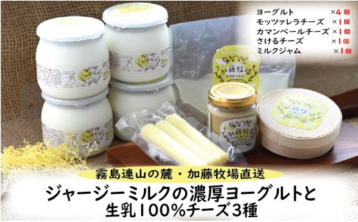 
【霧島連山の麓・加藤牧場直送】ジャージーミルクの濃厚ヨーグルトと生乳100％チーズ３種（国産 ナチュラルチーズ ヨーグルト 乳製品 牛乳 チーズ コンテスト受賞 人気 霧島 宮崎 小林市 地域限定）
