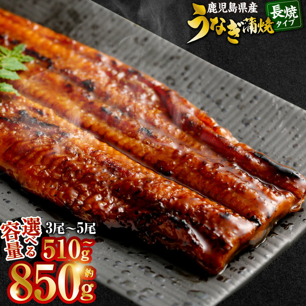 【ふるさと納税】【容量が選べる】 鹿児島県産 うなぎ蒲焼 1尾約170g 3尾 5尾 合計510g 合計850g 真空パック 薩摩川内鰻 薩摩川内うなぎ 蒲焼き かば焼き たれ タレ 鹿児島県 薩摩川内市 送料無料