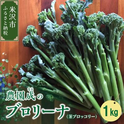 ふるさと納税 米沢市 【令和8年産】ブロリーナ (茎ブロッコリー) 1kg 2026年10月〜 発送予定