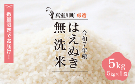 ＜数量限定＞ 令和7年産 はえぬき 【無洗米】 5kg （5kg×1袋） 山形県真室川町　◆NR7H05M-M9999