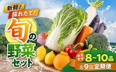 【全9回定期便】旬な野菜おまかせ詰め合わせセット【合志物産販売 志来菜彩】[AYCA005]