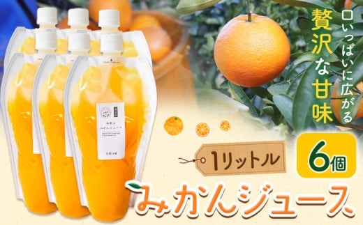 みかんジュース 1L×6個 Farm＆lab 《30日以内に発送予定(土日祝除く)》和歌山県 日高町 みかん 柑橘 果物 ジュース オレンジジュース