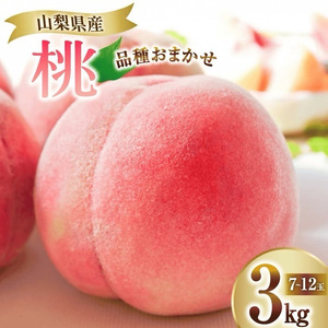 桃 約3kg(7～12玉入)【厳選数量限定】山梨県甲州市産桃 産地直送【2025年発送】（ORJ）B18-801【桃 もも モモ 令和7年発送 期間限定 山梨県産 甲州市 フルーツ 果物】