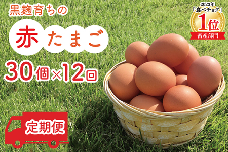 たまご 定期便 30個 (年12回) ★2月より順次配送★ 黒麹育ちの赤たまご BC003