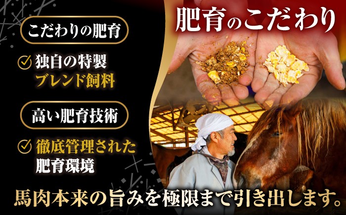赤身 大トロ 中トロ たてがみ ロース 専用醤油付き 国産 馬刺し 熊本 山鹿市 霜降り 馬刺 ばさし バサシ おつまみ 小分け