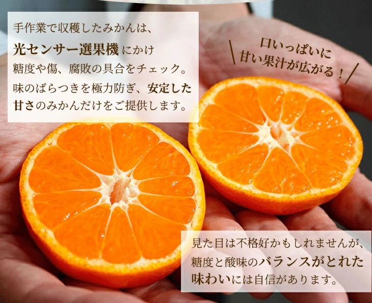 〈10月より発送〉ゆら早生 プレミアム有田みかん 1kg+250g（傷み補償分） ｜ 柑橘 果物 フルーツ 糖度 甘い 濃厚 コク ジューシー 光センサー ※北海道・沖縄・離島への配送不可 ※2025