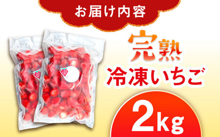 冷凍いちご 2kg / 苺 いちご イチゴ 冷凍 冷凍イチゴ 冷凍苺 / 恵那市 クリエイティブファーマーズ[AUAH024]