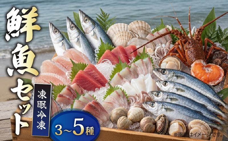 
                  【 海鮮 セット 】 刺身用 冷凍 魚介 詰め合わせ  伊勢海老 アジ タイ カンパチ ハマチ いか 漁師直送 旬魚 おまかせ 天然 国産 小分け 真空 冷凍保存 家庭用 贈答用 年末 年始 お取り寄せ グルメ 高知県 室戸市

                