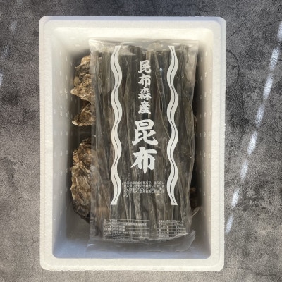 仙鳳趾 牡蠣100～149g×25個+カキナイフ＆昆布＜2024年10月～出荷＞K1-2【配送不可地域：離島・沖縄県・信越、北陸・東海・近畿・中国・四国・九州】