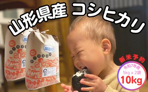 生産者の顔が見える米　コシヒカリ　白米10kg（飯豊町産）【新米予約】