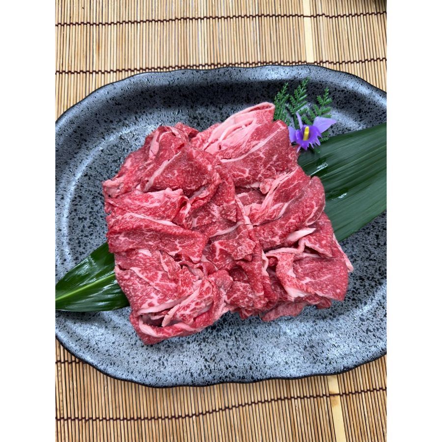 ＜岩島屋＞A-5ランク「飛騨牛」切落し250g×2（計500g）