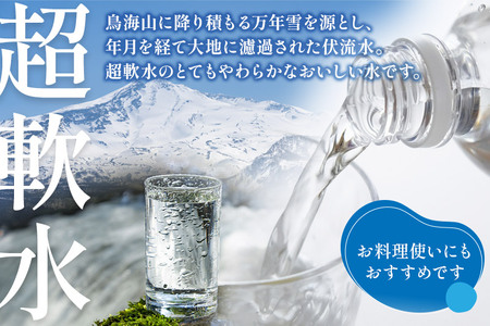 鳥海山自然水(500ml)30本×3か月連続 計90本