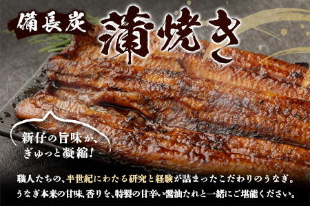 ＜4ヵ月に1回お届け＞新仔!!味鰻の本格手焼備長炭蒲焼 3尾（無頭）・うな丼6人前セット×3回定期便【F102-2311】国産 うなぎ 鰻 ウナギ 蒲焼 長焼 九州 宮崎