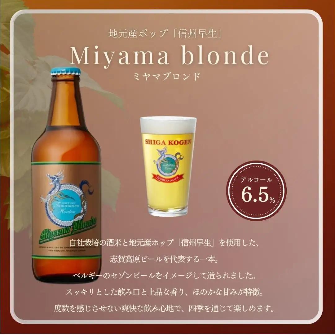 定期便 3ヶ月 クラフトビール 志賀高原ビール 12本 セット 玉村本店 クラフトビール