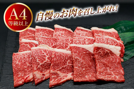 肉 牛肉 宮崎牛 牛うで肉 焼肉用 400g×2 計800g [牛心フードサービス 宮崎県 美郷町 31bm0020] 冷凍 小分け 焼肉 ブランド牛 ウデ ウデ肉 うで うで肉 ブランド牛