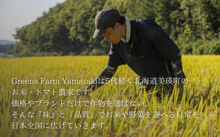 Greens Farm Yamazaki　朝日の豊栄米(ゆめぴりか)1kg | 米 コメ こめ 送料無料 北海道米 ブランド米 ごはん ゆめぴりか 精米 白米 [0055-04]