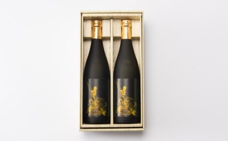 「純米大吟醸 鎮西八郎」720ml×2本 C-524