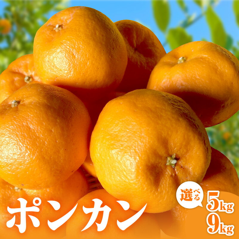 【ふるさと納税】ミカファーム みかん ポンカン 5kg 9kg 選べる 内容量【三重県御浜町産 甘くて食べやすい】
