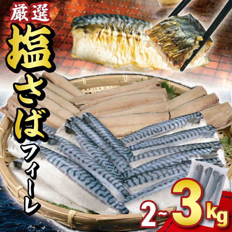【ふるさと納税】 サバ 塩サバフィーレ 約 2kg 〜 3kg ノルウェー産 冷凍 小分け さば 鯖 塩鯖 塩サバ フィーレ フィレ 切り身 切身 海鮮 魚 大容量 青魚 おかず 魚介 魚貝 おつまみ 弁当 人気 グルメ お取り寄せ おすすめ 送料無料 ふるさと納税魚 千葉県 銚子市 大一奈村