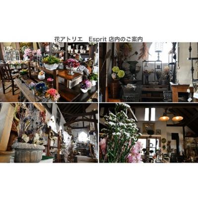 ふるさと納税 明和町 おしゃれな 花 ギフト AF1 |  | 02