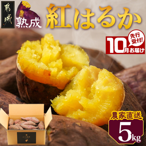 先行受付!【10月お届け】【農家直送】山下農園　熟成紅はるか 5kg_LF-I701-10