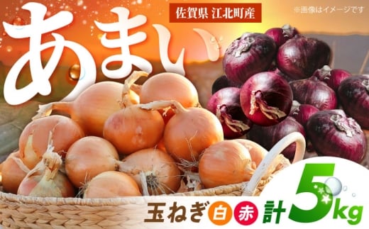 【先行予約】 玉ねぎ（白・赤）セット 計5kg 【吉祥】 [HDG002]