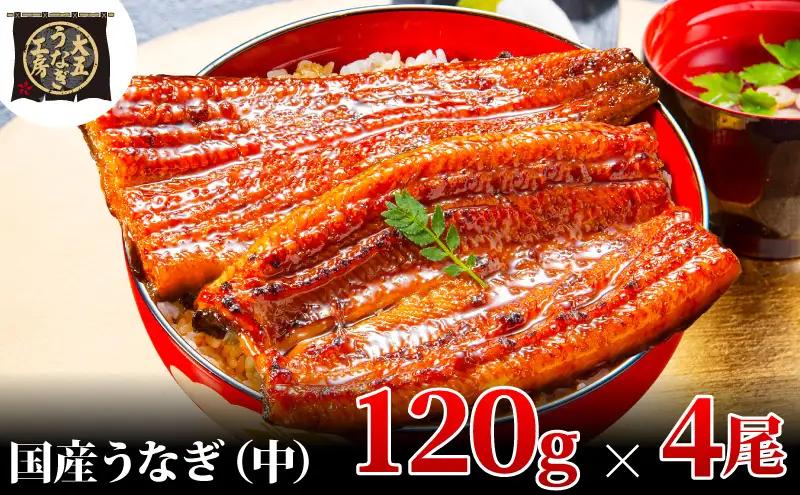 うなぎ 国産 蒲焼 120g×4尾 480g 大五 大五通商 うなぎ