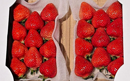 3LA1 あまおうデラックス（4パック）