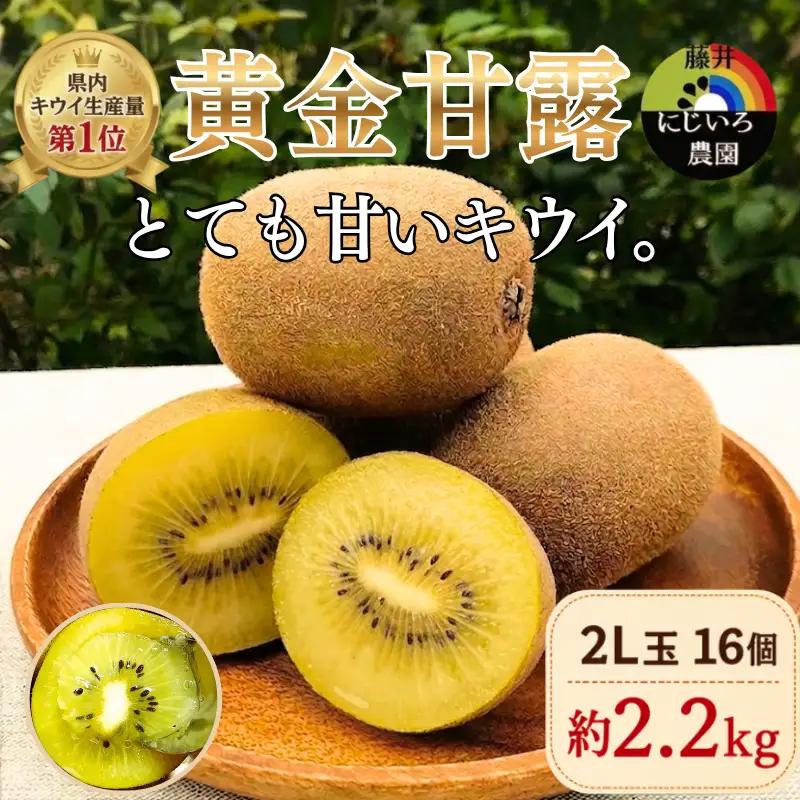 【キウイ】 黄金甘露 2L玉 約2.2kg 山口県 阿武町産 希少品種 早生 とろける甘さ 数量限定《2026年9月中旬～10月中旬発送》