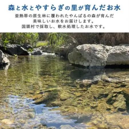 国頭村のおいしい水 やんばるの森と海 2000ml×6本【1732491】