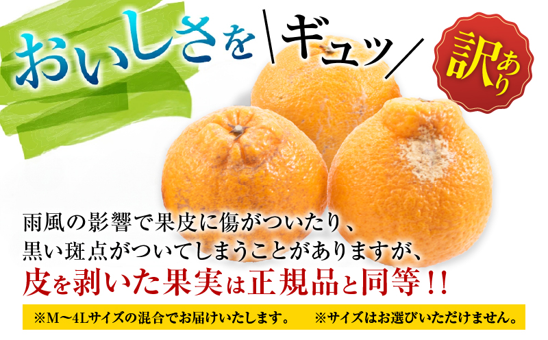 訳あり 不知火 計4kg 傷み補償分付き 期間限定 数量限定 フルーツ 果物 くだもの しらぬい 国産 食品 デザート おやつ フルーツサンド おすすめ ご褒美 産地直送 みかん 柑橘 ジュース おす