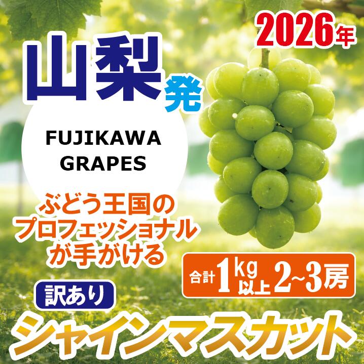 【ふるさと納税】《訳あり》でも誇れる美味しさ 【シャインマスカット】 1.0kg以上（2～3房） 【2026年発送分 先行予約】- FUJIKAWA GRAPES -　 嬉しい満足感
