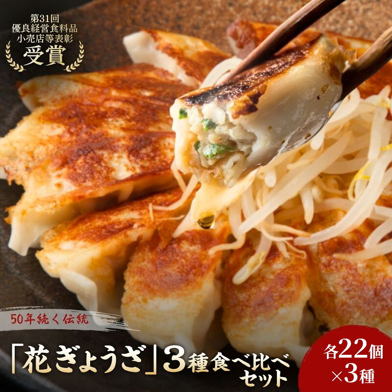 【ふるさと納税】「花ぎょうざ」3種食べ比べセット 66個（各22個×3種） 餃子 冷凍餃子 冷凍ギョーザ 手作り餃子 ギョーザ セット 食べ比べ 点心 中華 中華料理 惣菜 簡単調理 加工食品 静岡県 森町