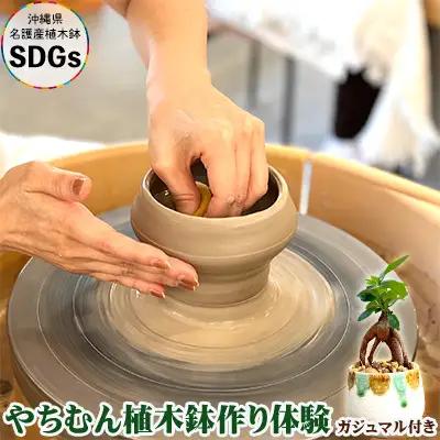 やちむん植木鉢作り体験　ガジュマル付き【SDGｓ】 やちむん 焼き物 陶芸 ガジュマル 植木鉢 体験 伝統 工芸 植物 鑑賞用 観葉植物 インテリア 初心者 ふるさと納税 おきなわ 沖縄 オキナワ 名