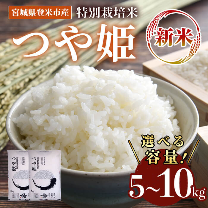 【ふるさと納税】≪令和7年産 新米≫ 特別栽培米 つや姫 5kg～10kg 選べる容量 登米市産 お米 おこめ 米 コメ 白米 ご飯 ごはん おにぎり お弁当 【登米ライスサービス株式会社】tm154・tm155