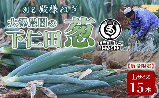 別名“殿様ねぎ” 大澤農園の下仁田葱（L 15本） とろける 甘い ねぎ ネギ 王様ねぎ 殿様ねぎ 特産 栄養たっぷり ブランド 上州ねぎ すきやき F21K-596