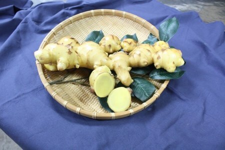 有機黄金生姜の味わいセット／Ftf-03