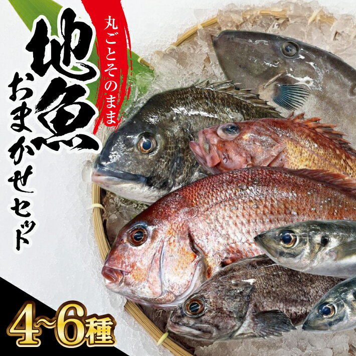 【ふるさと納税】地魚おまかせセット 4～6種類入り 計2kg以上 冷蔵便 ※着日指定・離島（沖縄県を含む）への発送不可 東北 山形県 酒田市 鮮魚 詰め合わせ 産地直送 セット