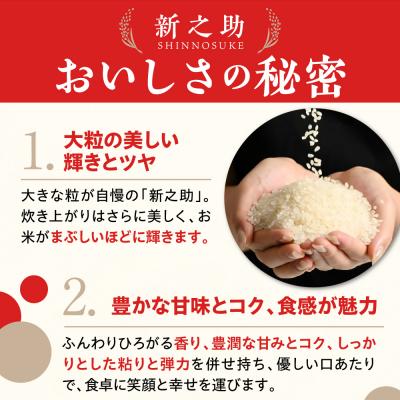 ふるさと納税 妙高市 新潟県上越妙高産 新之助 5kg【順次発送】 |  | 01