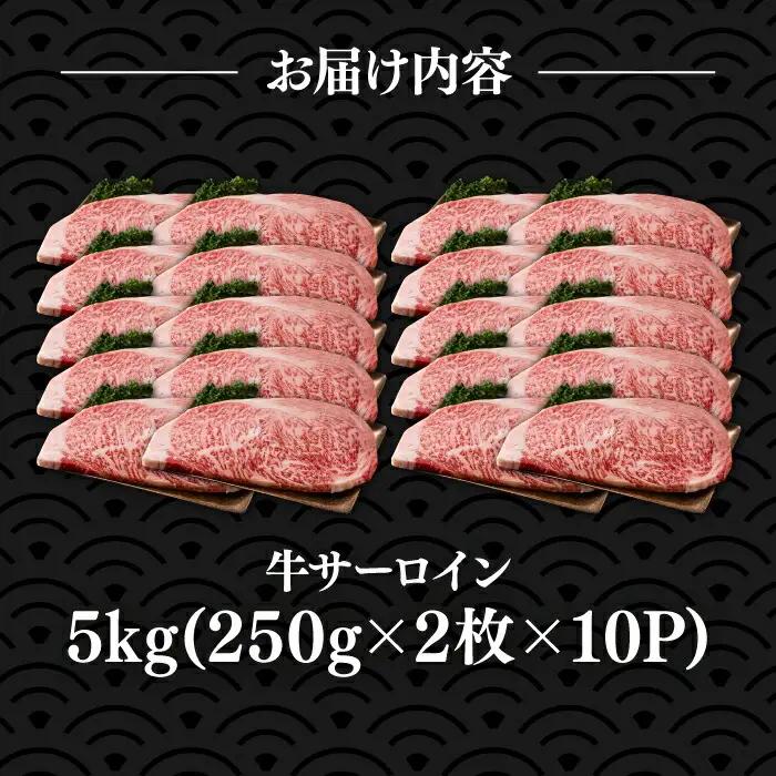 【訳あり】博多和牛 サーロインステーキ 5kg VBB012 牛肉 国産牛 和牛 ステーキ サーロイン