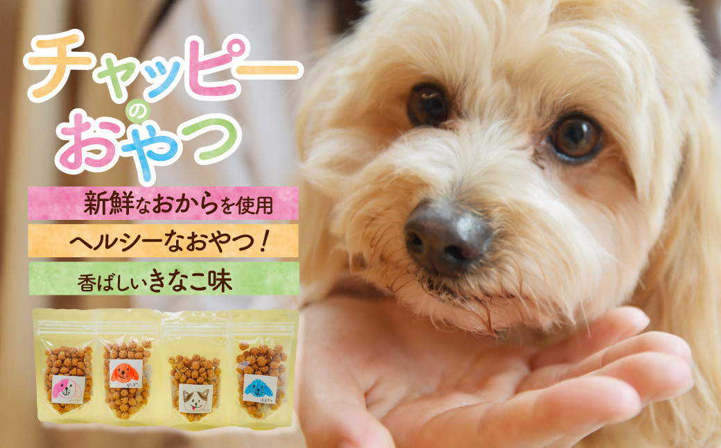 
                  【思いやり型返礼品】ペットフード チャッピーのおやつ(大) 6個 | ペットフード ぺっとふーど ドッグフード どっぐふーど おやつ 犬 わんちゃん ペット おから  大豆 きなこ ヘルシー 食物繊維 就労支援 世界農業遺産 落ち葉堆肥農法 循環型農業 森林循環 チャッピーのおやつ 森のとうふ屋さん きふと 埼玉県 所沢市
                