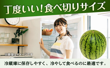 【先行予約】【数量限定】こだま西瓜 1箱約8kg (3L～M 3～6玉入り)【株式会社 GGYパッケージ】[AYAU003]
