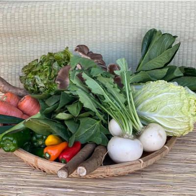 ふるさと納税 鹿嶋市 『身体が喜ぶ野菜』(おまかせ10〜12品) |  | 02