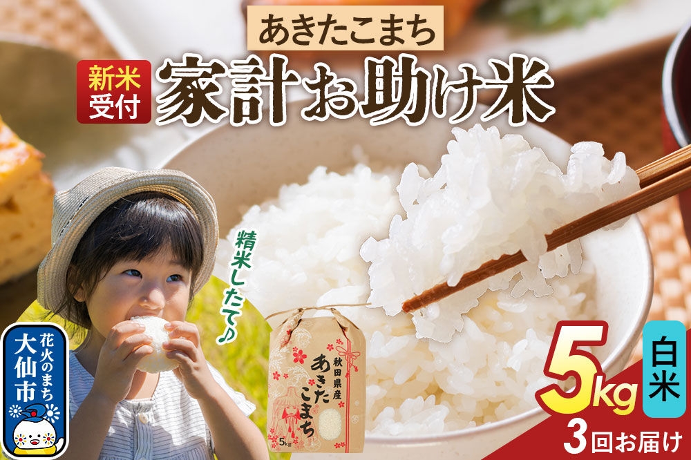 
                  《令和8年産新米予約》 《定期便3ヶ月》【白米】家計お助け米 あきたこまち 5kg 秋田県産  こまちライン 秋田県 大仙市産 [秋田 お米 米どころ あきたこまち こまちライン]
                