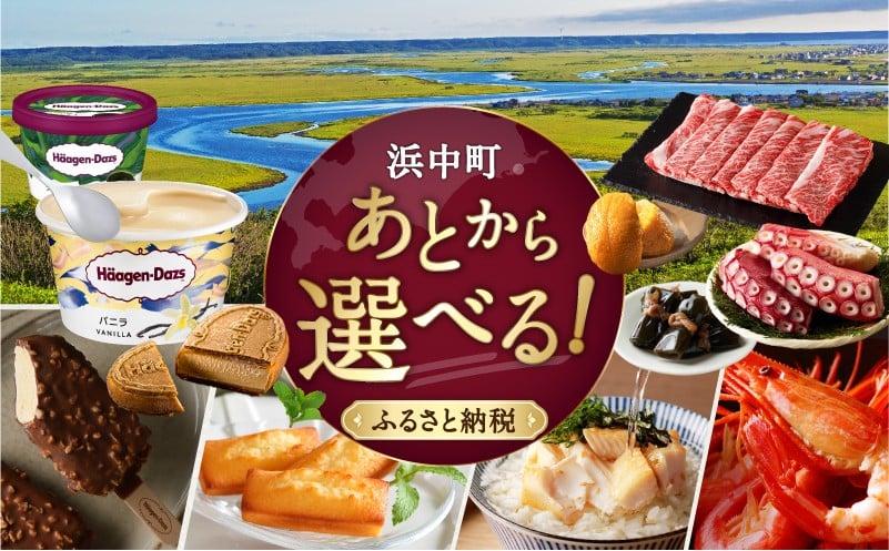 
                  あとからセレクト【ふるさとギフト】 寄附1万円～100万円相当 あとから選べる ギフト 北海道 浜中町 ふるさと納税 アイス 海産物 肉 チーズ 乳_H-gift
                