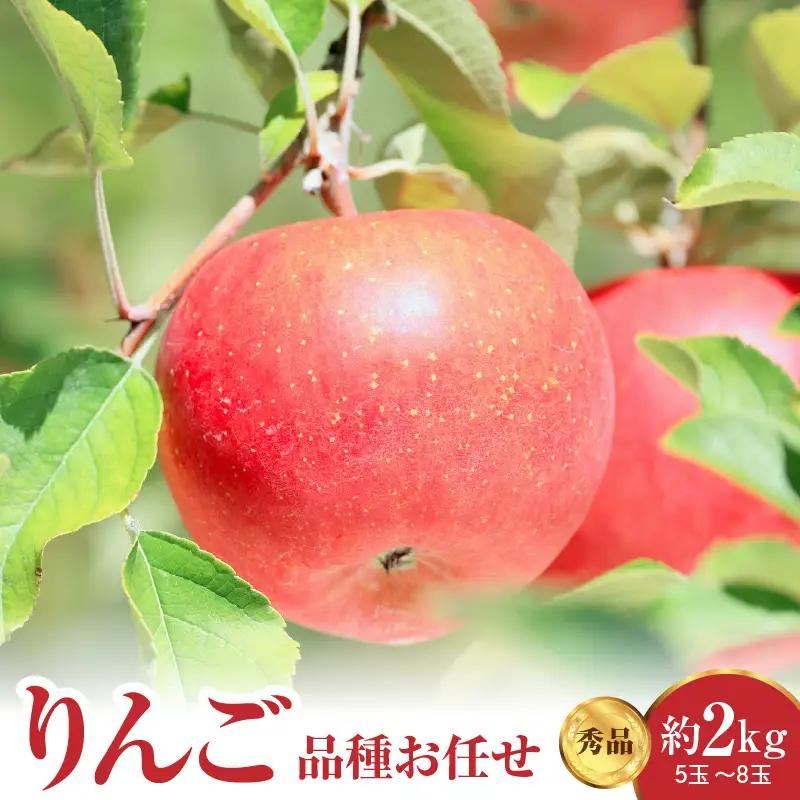 先行予約 令和8年産 りんご 品種お任せ 秀品 約2kg りんご