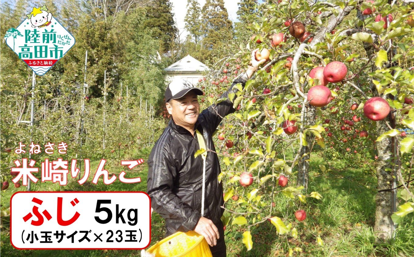 
            【事業者支援/完熟濃厚】 米崎りんご 品種：ふじ 小玉 約5kg 23玉 【 りんご 林檎 旬 フルーツ 訳あり 産地直送 個数限定 数量限定 】 RT3265
          