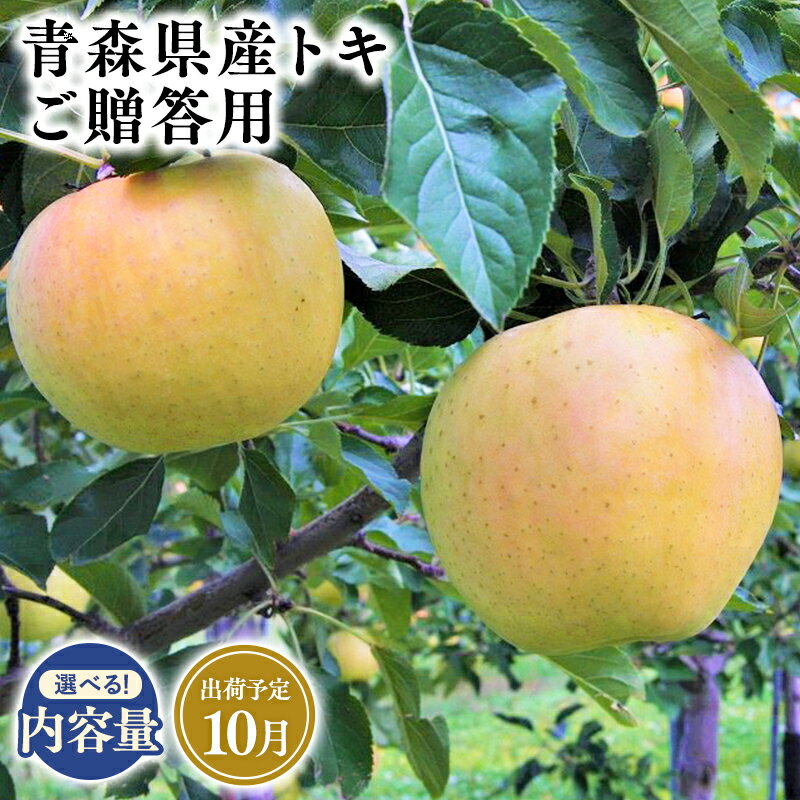【ふるさと納税】2025年度産 先行予約!≪内容量が選べる≫青森県産 贈答用 トキ 3kg 5kg 10kg【青森県 平川市 そと川りんご園】10月発送 贈答 青森 青森県産 平川 りんご リンゴ 林檎 くだもの 果物 フルーツ レビューキャンペーン