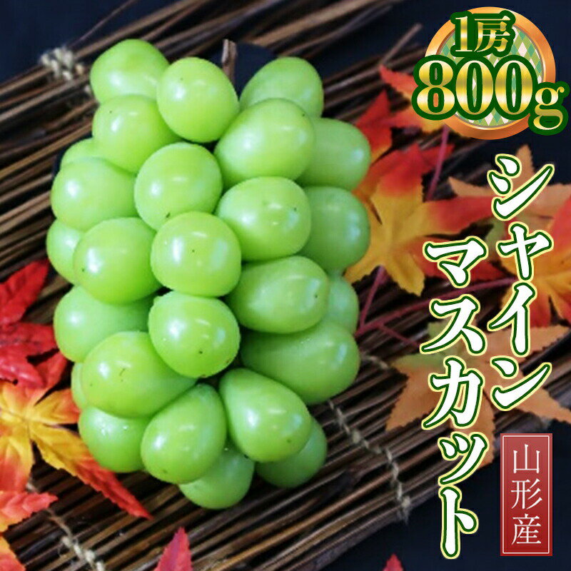 【ふるさと納税】《2025年先行予約》山形県産 シャインマスカット 約800g 1房 2025年9月下旬から順次発送 ぶどう ブドウ 葡萄 マスカット 大粒 種なし 高級 くだもの 果物 フルーツ 秋果実 贈り物 贈答 ギフト プレゼント 産地直送 山形県 中山町 F4A-0243